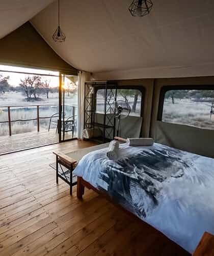 Working with Wildlife Conservation Camp, Tswalu Kalahari | Timbuktu Travel