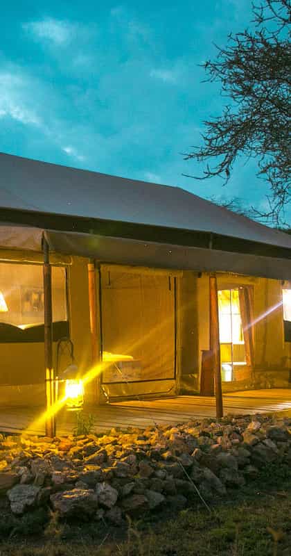 Pure Migration Camp by Sense of Wilderness, Serengeti | Timbuktu Travel