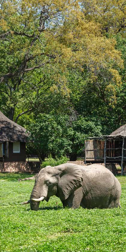 Mfuwe Lodge, South Luangwa | Timbuktu Travel