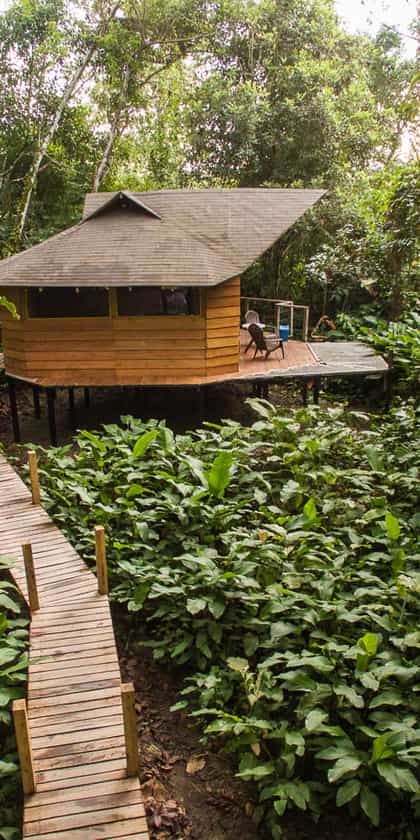 La Manigua Lodge, The Colombian Amazon | Timbuktu Travel
