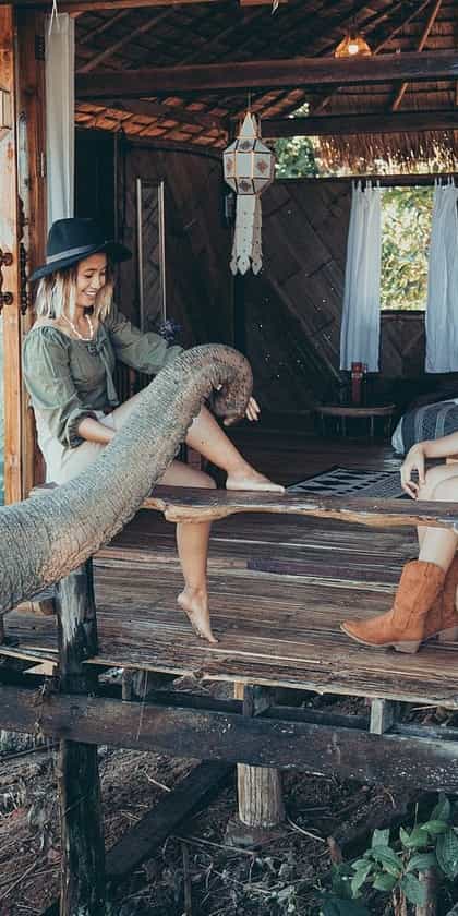 Chai Lai Orchid , Chiang Mai | Timbuktu Travel