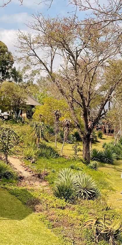 Romelda Lakeside Retreat, Great Zimbabwe and Lake Mutirikwi | Timbuktu Travel