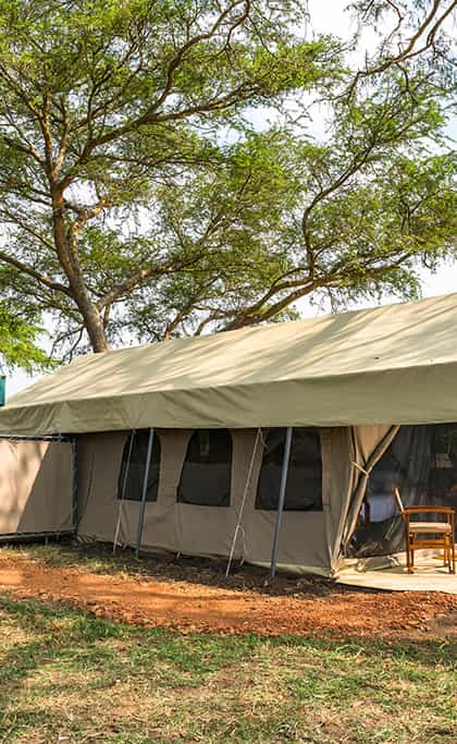 Honey Bear Bush Camp, Queen Elizabeth | Timbuktu Travel