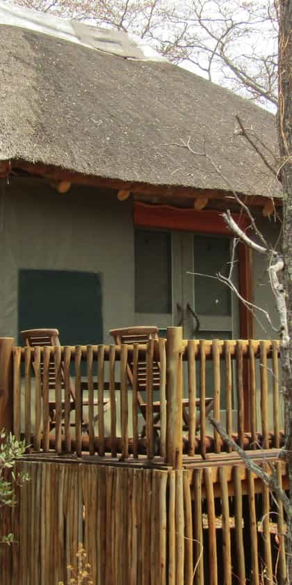 Honeyguide Ranger Camp, Waterberg | Timbuktu Travel