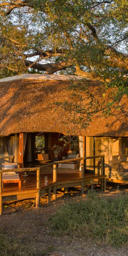 Camp Moremi, Moremi | Timbuktu Travel