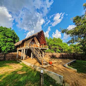 Thamaravila Wilpattu - Luxury Tented Safari Chalets, Wilpattu National Park | Timbuktu Travel