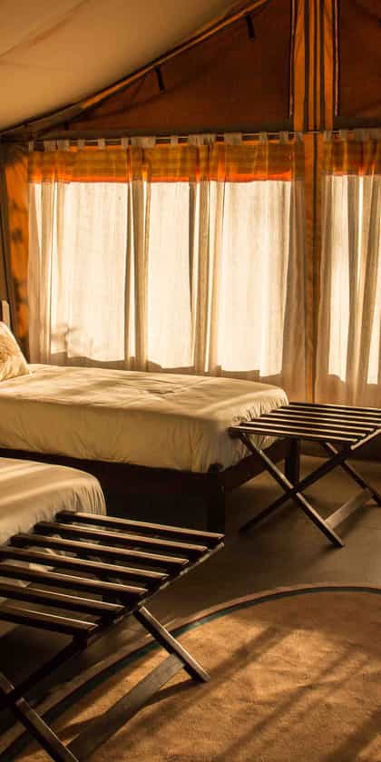 Porini Cheetah Camp, Masai Mara | Timbuktu Travel