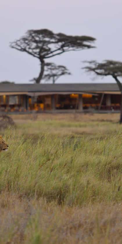 Namiri Plains Camp, Serengeti | Timbuktu Travel