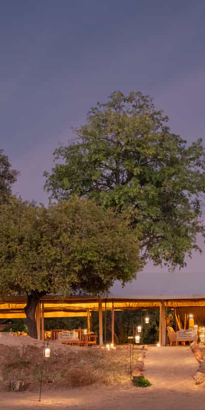 Kokoko Camp, Ruaha | Timbuktu Travel
