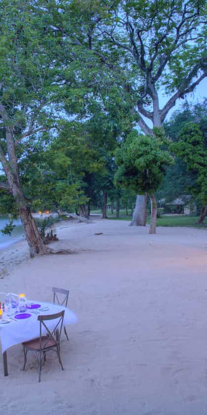 Rubondo Island Camp, Rubondo | Timbuktu Travel