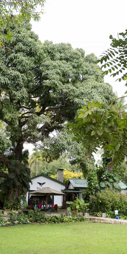 Mount Meru Game Lodge, Arusha | Timbuktu Travel