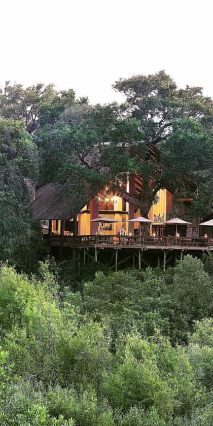 Londolozi Varty Camp, South & West Sabi Sands | Timbuktu Travel