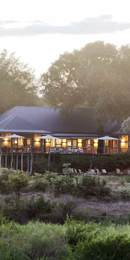 Mala Mala Sable Camp, South & West Sabi Sands | Timbuktu Travel