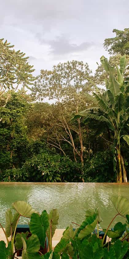 Kilimanjaro Coffee Lodge, Kilimanjaro | Timbuktu Travel