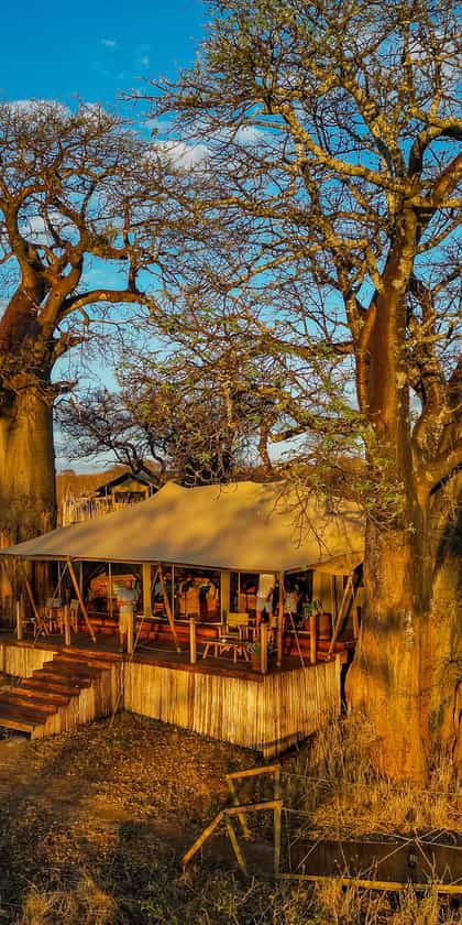 Olkeri Camp, Tarangire | Timbuktu Travel