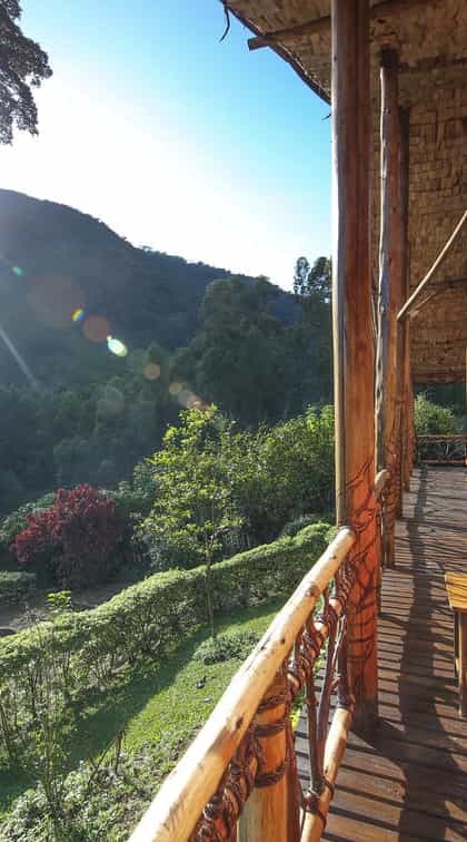 Mahogany Springs Lodge, Bwindi | Timbuktu Travel