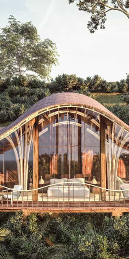 Erebero Hills, Bwindi | Timbuktu Travel