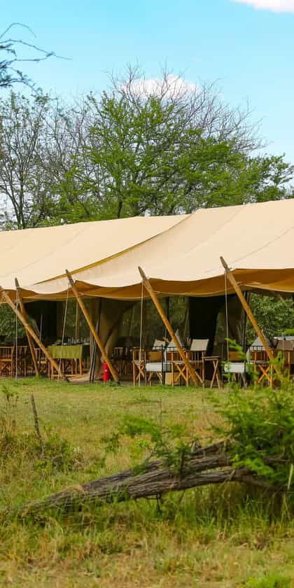 Intimate Camp Zebra, Serengeti | Timbuktu Travel