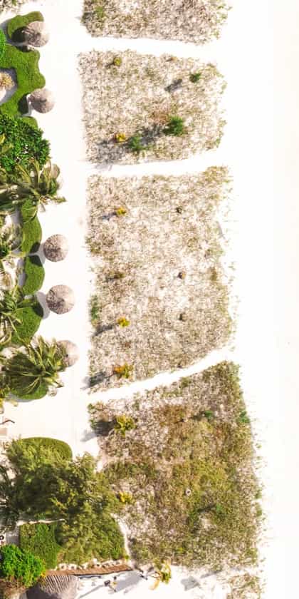 Kisiwa on the Beach, Zanzibar | Timbuktu Travel