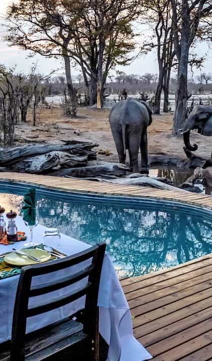 Elephant Pan, Khwai | Timbuktu Travel