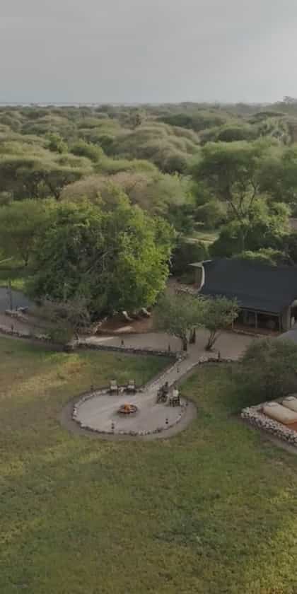 Forest Chem Chem, Tarangire | Timbuktu Travel