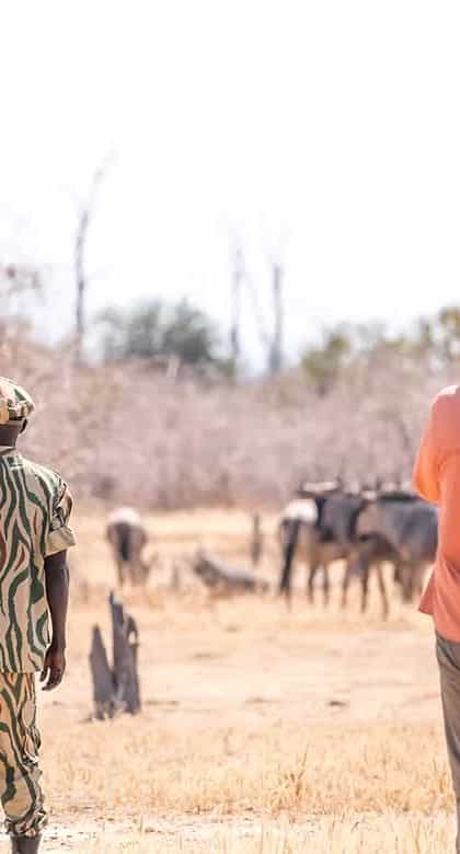 Kutandala Camp, North Luangwa | Timbuktu Travel