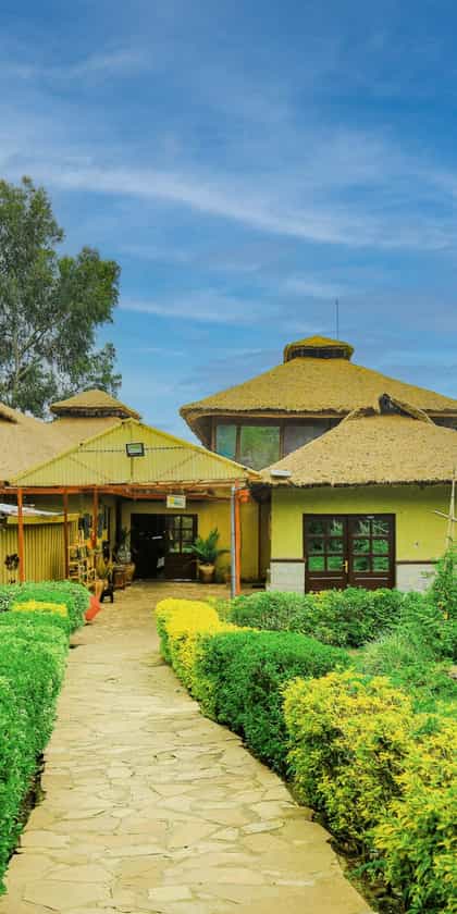 Da Vinci Gorilla Lodge, Volcanoes | Timbuktu Travel