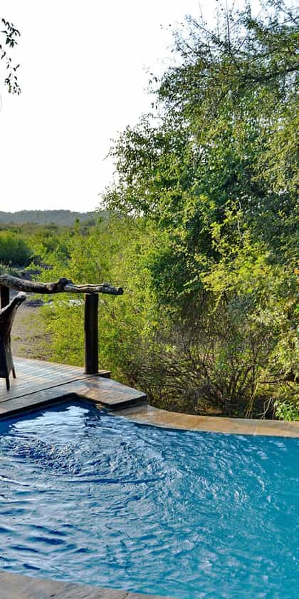 Motswiri Lodge, Madikwe | Timbuktu Travel