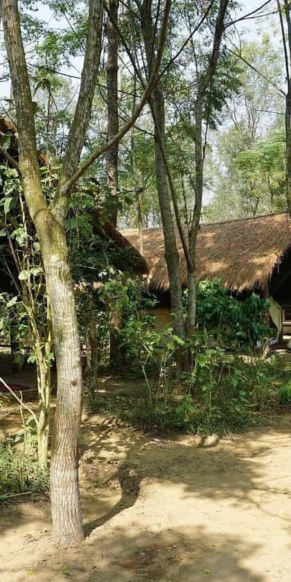 Tiger Tops Tharu Lodge, Chitwan National Park | Timbuktu Travel