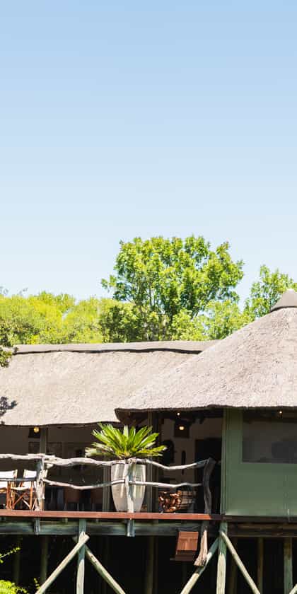 Tree Tops Safari Lodge, Eastern Cape | Timbuktu Travel