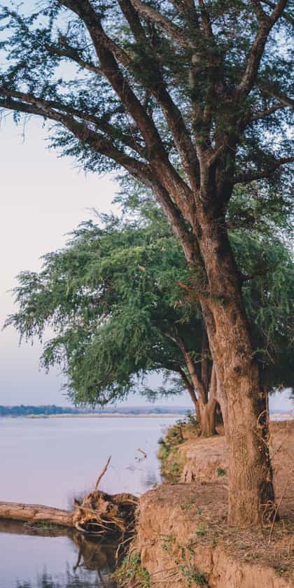 Kutali Camp, Lower Zambezi | Timbuktu Travel