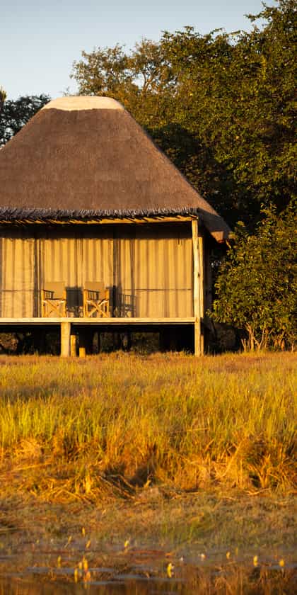 Ntemwa-Busanga Camp, Kafue | Timbuktu Travel