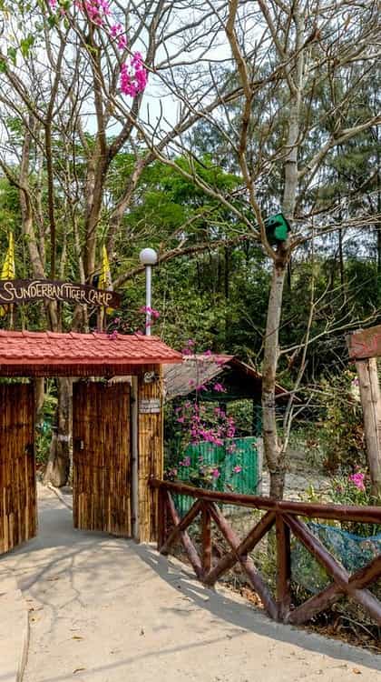 Sunderban Tiger Camp, Kolkata | Timbuktu Travel