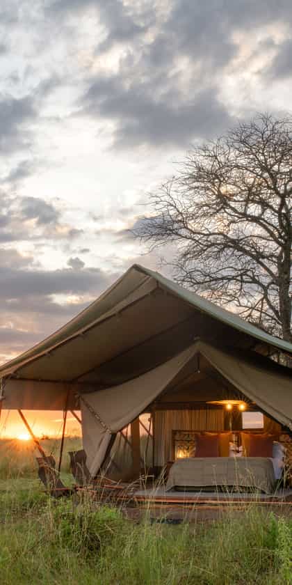 TAASA Migration Camp, Serengeti | Timbuktu Travel