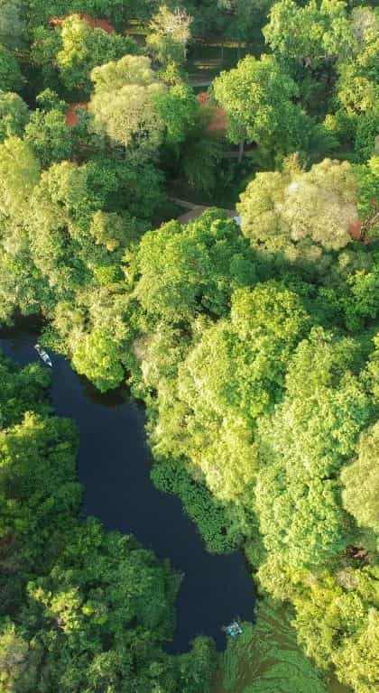 Aymara Lodge, Northern Pantanal  | Timbuktu Travel