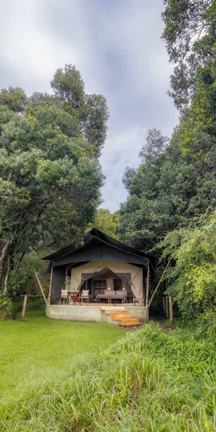 Elewana Elephant Pepper Camp, Masai Mara | Timbuktu Travel