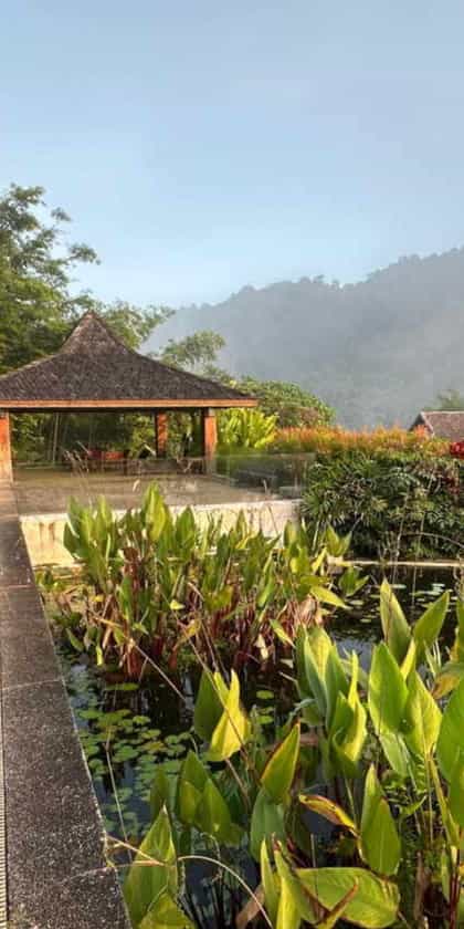 Thanyamundra Organic Resort, Khao Sok National Park | Timbuktu Travel