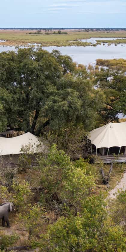 Zarafa Camp, Linyanti | Timbuktu Travel