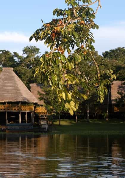 Amazon Yarapa River Lodge, Pacaya Samiria | Timbuktu Travel