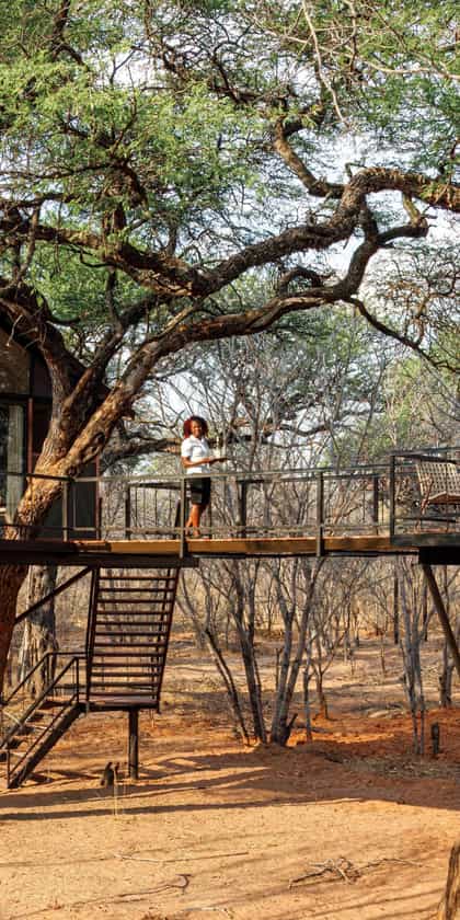 Tum Tum Treehouse Lodge, Hwange | Timbuktu Travel