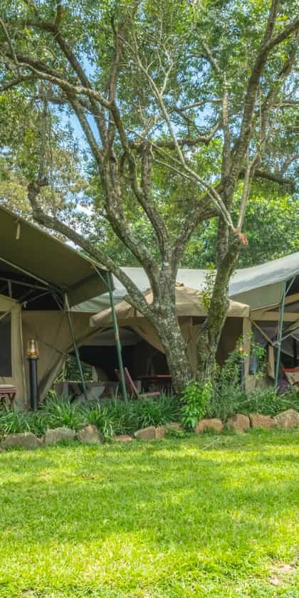 Mara Intrepids Camp, Masai Mara | Timbuktu Travel