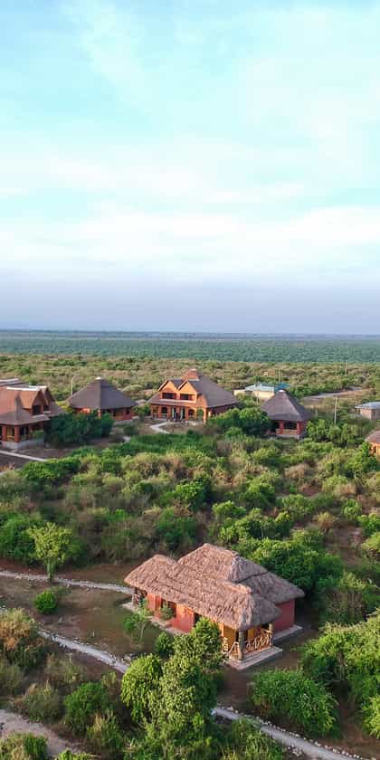 Buffalo Safari Lodge, Queen Elizabeth | Timbuktu Travel