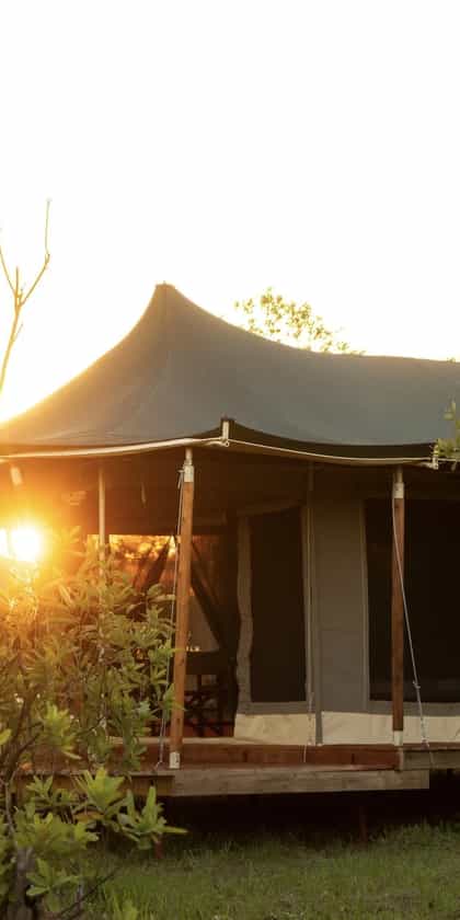 Moyo Tented Camp - North, Serengeti | Timbuktu Travel