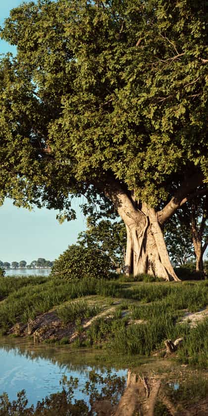 Chobe Savanna Lodge, Caprivi (the Zambezi Region) | Timbuktu Travel