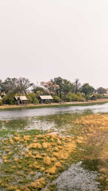 Okavango Horse Safaris, Central Okavango | Timbuktu Travel