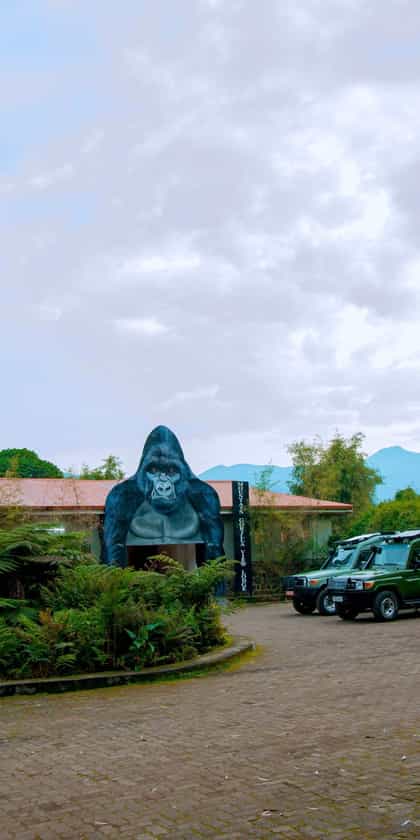 Mountain Gorilla View Lodge, Volcanoes | Timbuktu Travel