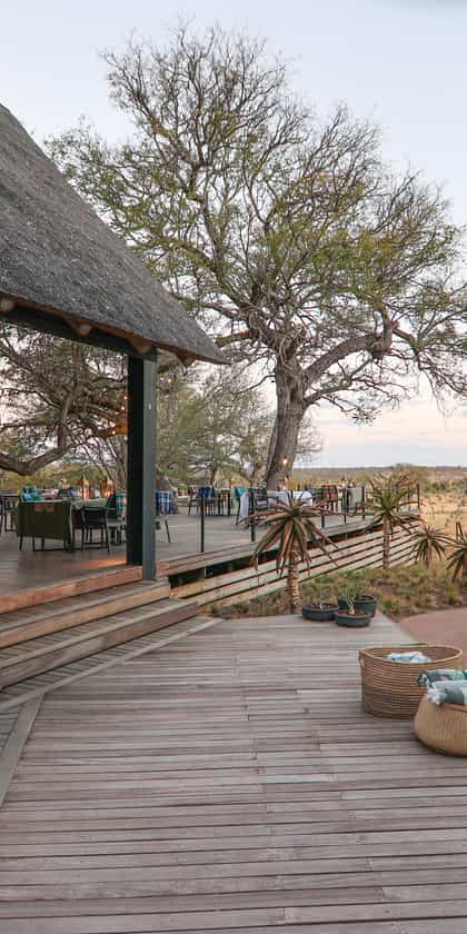 Tomo Safari Lodge, Balule | Timbuktu Travel