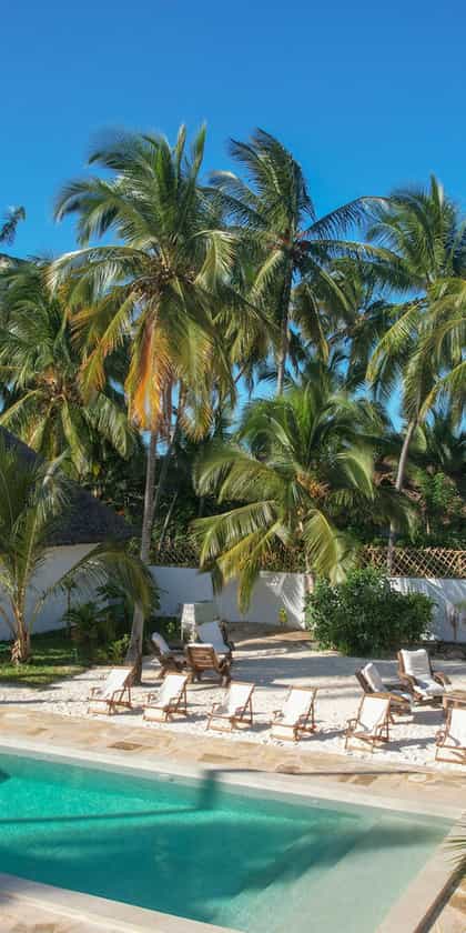 Tamu Tamu, Zanzibar | Timbuktu Travel