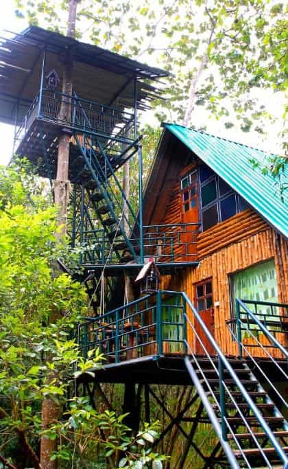 Khao Sok Tree House Resort, Khao Sok National Park | Timbuktu Travel