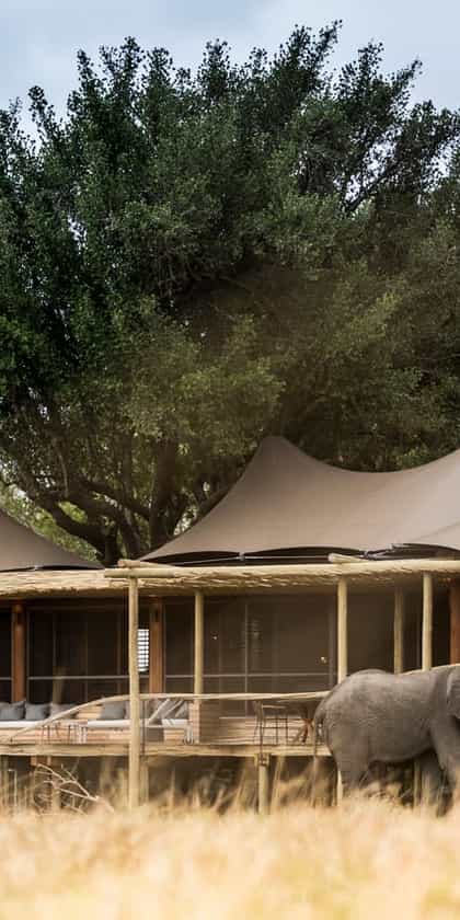 Little Mombo Camp, Moremi | Timbuktu Travel
